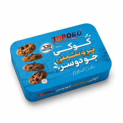 کوکی پروتئینی